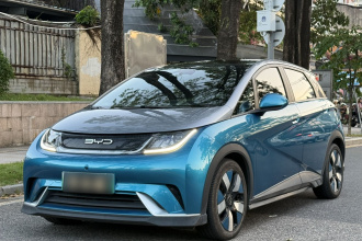 比亚迪 海豚 2021款 401km 骑士版