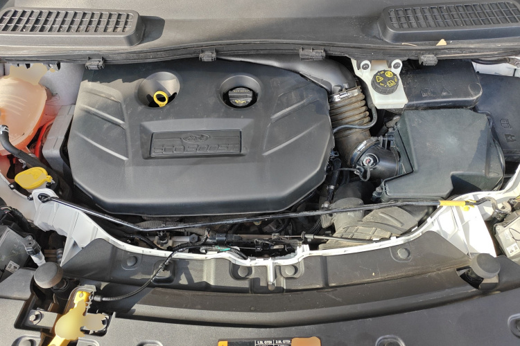 福特 翼虎 2018款 EcoBoost 245 四驱豪翼型机舱底盘24