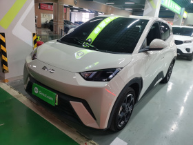 比亚迪 海鸥 2023款 自由版