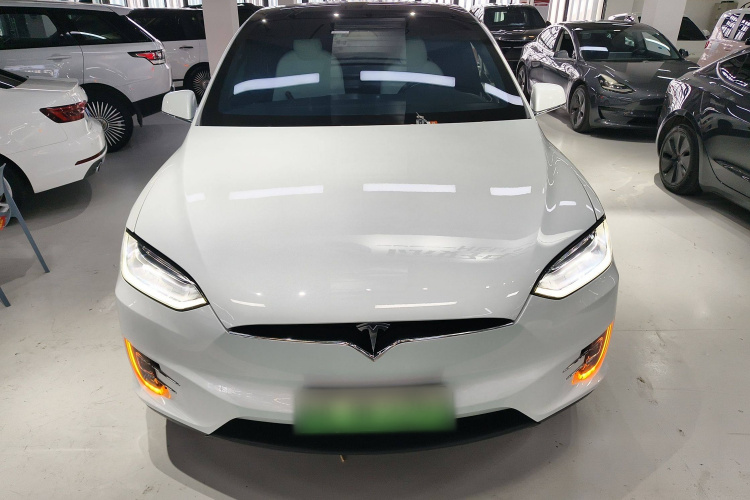 特斯拉 Model X 2019款 长续航版车身外观2