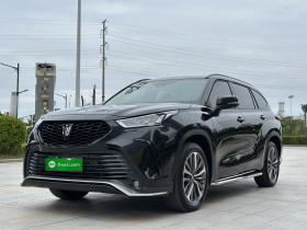 丰田 皇冠陆放 2024款 2.5L HEV四驱尊贵版