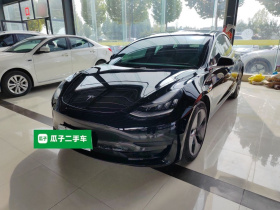 特斯拉 Model 3 2020款 改款 标准续航后驱升级版