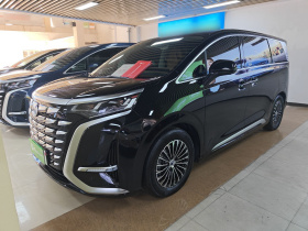 腾势D9 2024款 DM-i 1050 尊享型