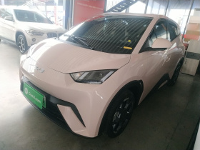 比亚迪 海鸥 2024款 荣耀版 305km 自由版