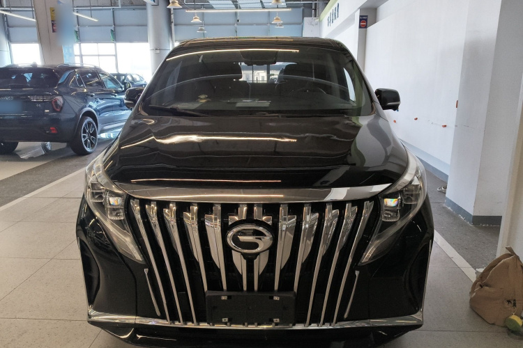 广汽传祺 传祺M8 2021款 领秀系列 390T 至尊版车身外观6001