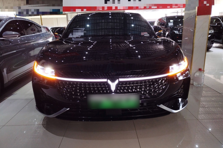 岚图汽车 岚图追光 2024款 PHEV 四驱超长续航行政版车身外观6001