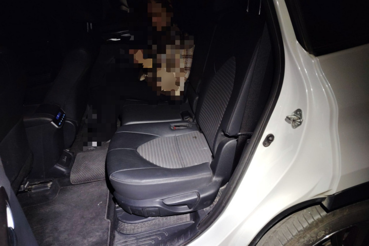 丰田 皇冠陆放 2021款 2.5L HEV四驱尊贵版中控内饰21