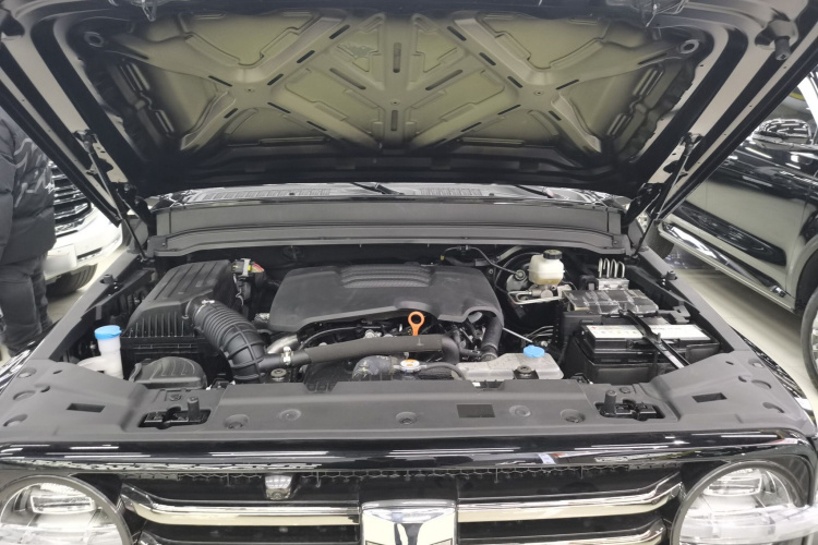 坦克300 2021款 城市版 2.0T 必须型机舱底盘24