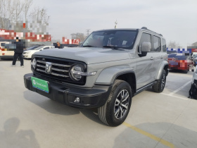 坦克300 2021款 城市版 2.0T 很有型