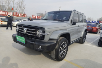 坦克300 2021款 城市版 2.0T 很有型