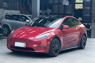 特斯拉 Model Y 2021款 Performance高性能全轮驱动版