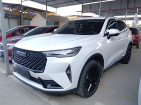 哈弗H6 2021款 第三代 2.0T 自动两驱Max