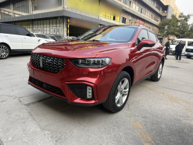 魏牌 VV5 2020款 1.5T 两驱颜先锋