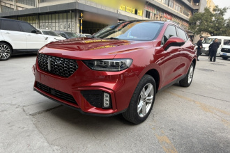 魏牌 VV5 2020款 1.5T 两驱颜先锋