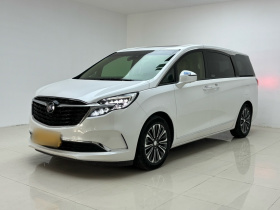 别克GL8 2020款 ES陆尊 653T 旗舰型