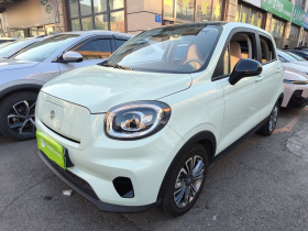 零跑汽车 零跑T03 2024款 310舒享版