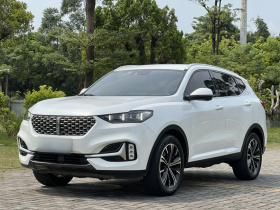 魏牌 VV6 2021款 2.0T 两驱智护+