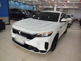 岚图汽车 岚图FREE 2025款 318 318km 后驱环游版