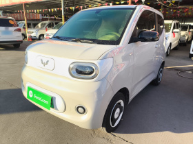 五菱汽车 宏光MINIEV 2024款 第三代 215km 青春版