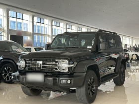 坦克300 2024款 2.0T 征服者