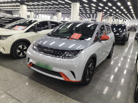 比亚迪 海豚 2021款 405km 自由版