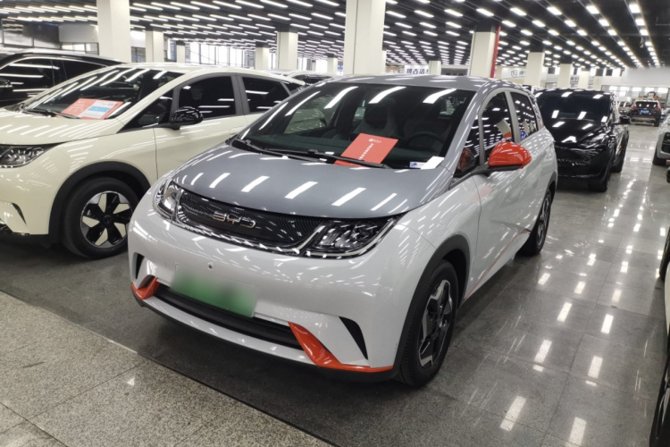 比亚迪 海豚 2021款 405km 自由版车身外观1