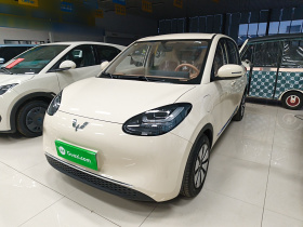 五菱汽车 五菱缤果 2025款 333km 灵犀互联款