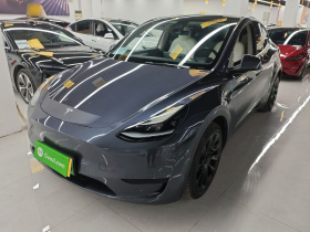特斯拉 Model Y 2022款 后轮驱动版