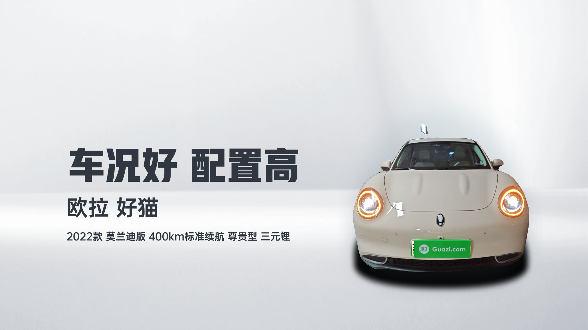 欧拉好猫 2022款 莫兰迪版 400km标准续航 尊贵型 三元锂解读1