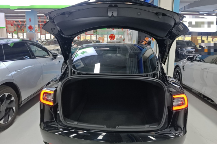 特斯拉 Model 3 2021款 标准续航后驱升级版 3D6局部细节23