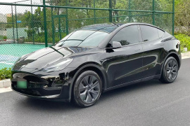 特斯拉 Model Y 2021款 标准续航后驱版