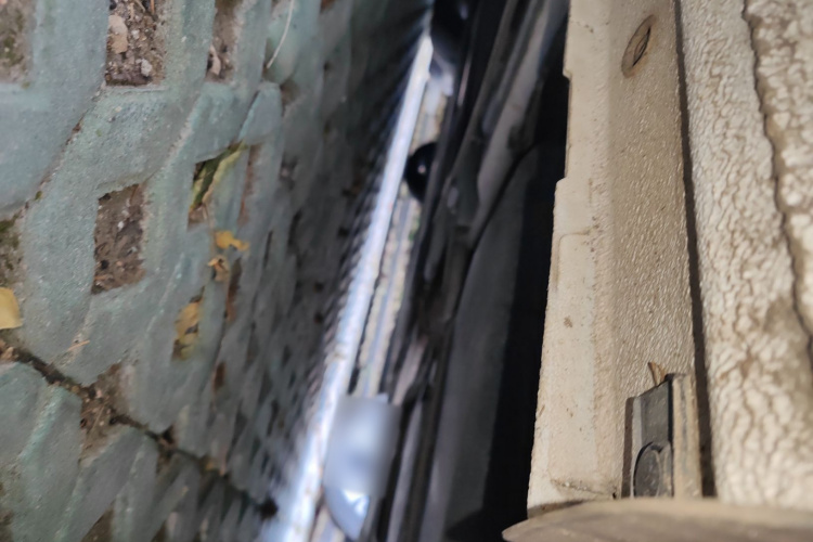 福特 福睿斯 2015款 1.5L 手动舒适型局部细节9004