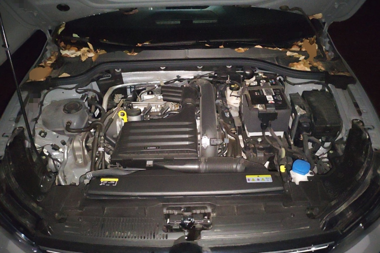 大众 高尔夫 2023款 改款 280TSI DSG R-Line Lite局部细节24