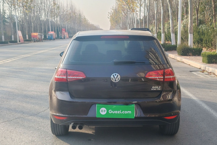 大众 高尔夫 2016款 230TSI 自动舒适型车身外观6004