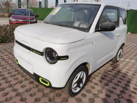 吉利银河 熊猫 2025款 210km 元气熊