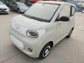 五菱汽车 宏光MINIEV 2024款 第三代 215km 青春版