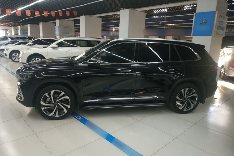 吉利汽车 星越L 2021款 2.0TD DCT EVO两驱智尊型车身外观6003