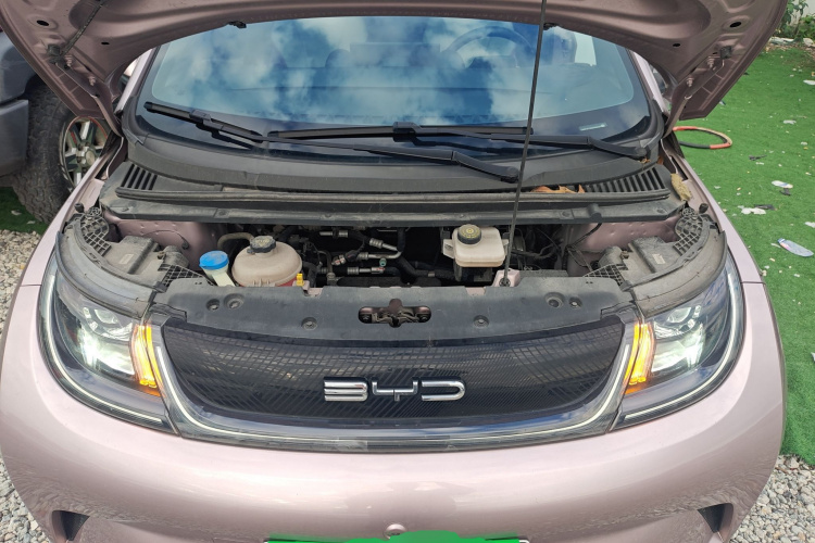 比亚迪 海豚 2021款 405km 时尚版机舱底盘24