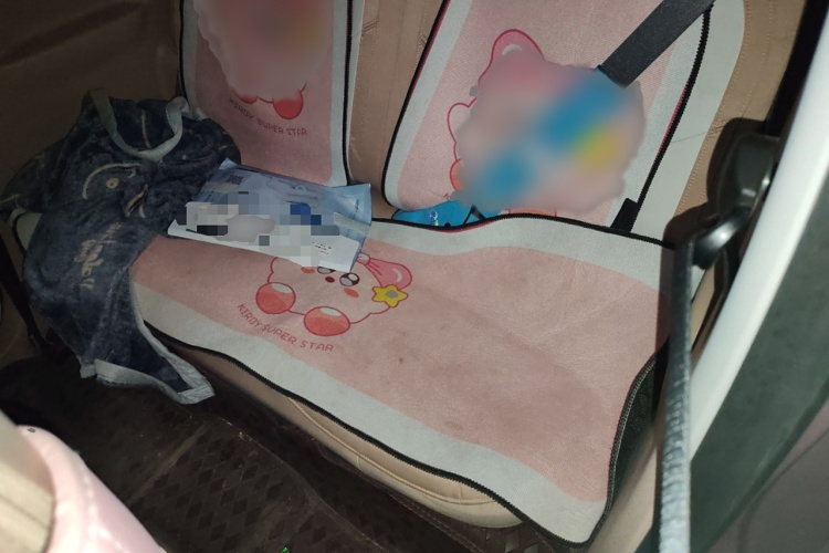 吉利银河 2024款 熊猫mini 200km 耐力熊中控内饰7004