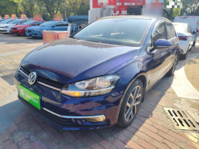 大众 高尔夫 2018款  230TSI 自动豪华型