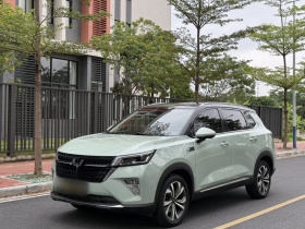 五菱汽车 五菱星辰 2021款 1.5T CVT星曜版