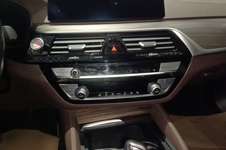 宝马5系 2020款 530Li 领先型 豪华套装局部细节16