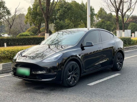 特斯拉 Model Y 2023款 长续航全轮驱动版