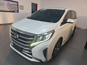 广汽传祺 传祺M8 2023款 领秀系列 390T 豪华版