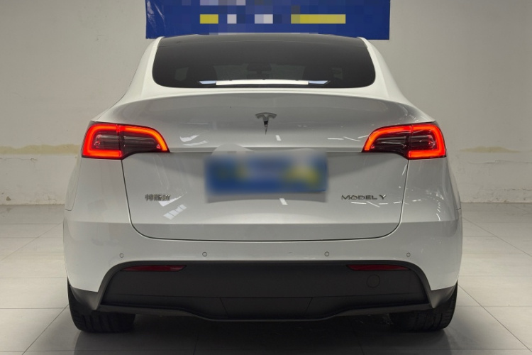 特斯拉 Model Y 2021款 长续航全轮驱动版车身外观6005