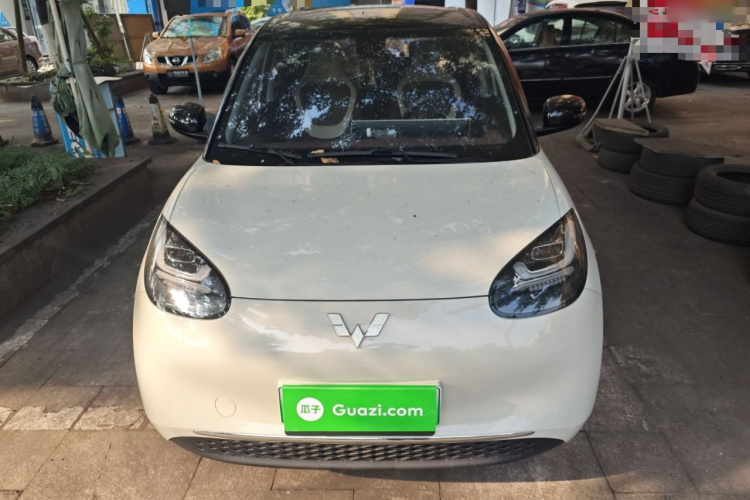 五菱汽车 五菱缤果 2023款 333km 灵犀互联款车身外观2