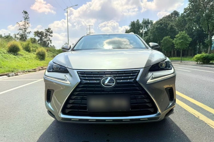 雷克萨斯NX 2020款 200 前驱 锋行版 国VI车身外观6005