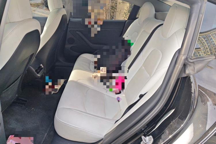 特斯拉 Model 3 2022款 后轮驱动版中控内饰21