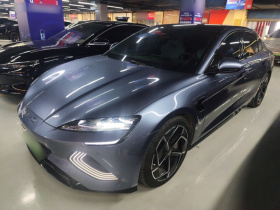 比亚迪 海豹 2022款 700km 长续航后驱版