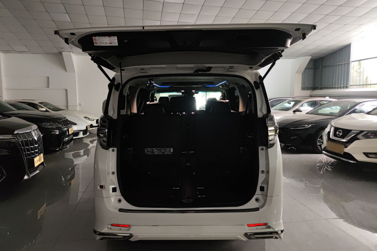 丰田 威尔法 2020款 双擎 2.5L HV豪华版局部细节23